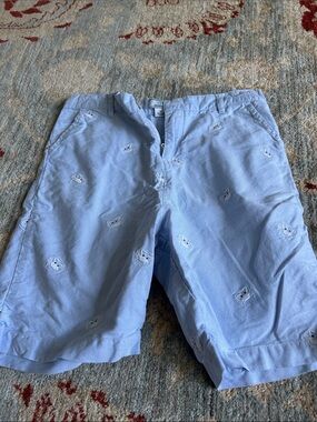 Light Blue Embroidered Flat-Front Kids Shorts